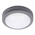 LED Vanjsko stropno svjetlo LED/13W/230V IP54 antracit