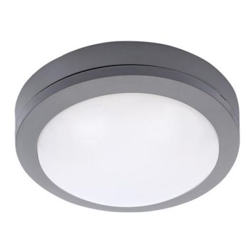 LED Vanjsko stropno svjetlo LED/13W/230V IP54 antracit