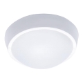 LED vanjsko stropno svjetlo LED/30W/230V  IP65