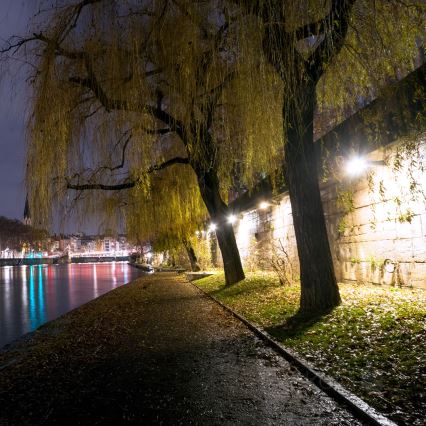 LED Vanjsko reflektorsko svjetlo LED/50W/230V 4000K 6500 lm IP65 IK06