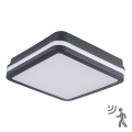 LED Vanjsko svjetlo sa senzorom BENO LED/18W/230V 4000K IP54 antracit