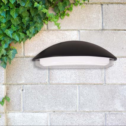 LED vanjsko zidno svjetlo ALABAMA LED/12W/230V IP54 crno