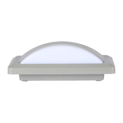 LED Vanjsko zidno svjetlo LED/12W/230V 4000K IP65