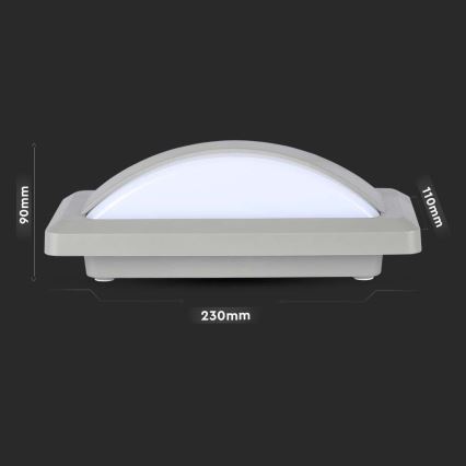 LED Vanjsko zidno svjetlo LED/12W/230V 4000K IP65