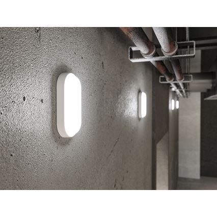 LED vanjsko zidno svjetlo LED/12W/230V IP54 bijelo