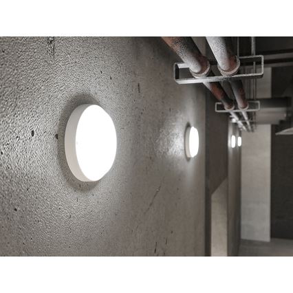 LED vanjsko zidno svjetlo LED/18W/230V IP54 bijelo