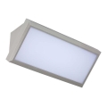 LED Vanjsko zidno svjetlo LED/20W/230V 4000K IP65 siva