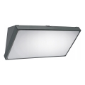 LED vanjsko zidno svjetlo LED/20W/230V IP65 siva