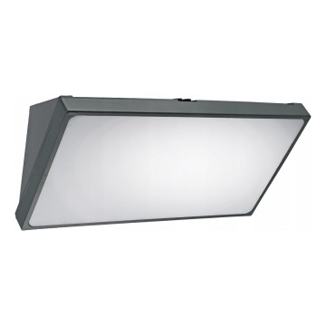 LED vanjsko zidno svjetlo LED/20W/230V IP65 siva