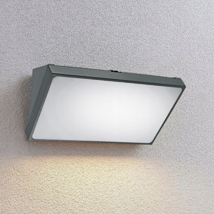 LED vanjsko zidno svjetlo LED/20W/230V IP65 siva