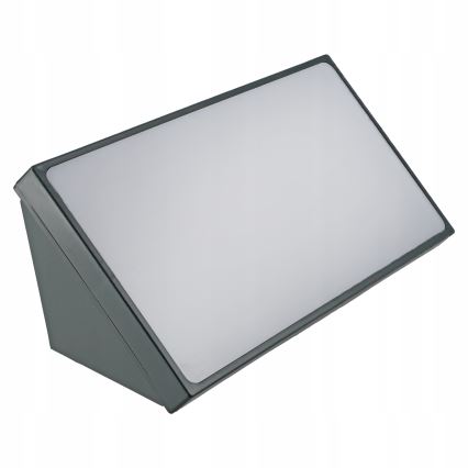 LED vanjsko zidno svjetlo LED/20W/230V IP65 siva