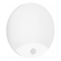 LED Vanjsko zidno svjetlo s senzorom HIBIS LED/15W/230V IP44