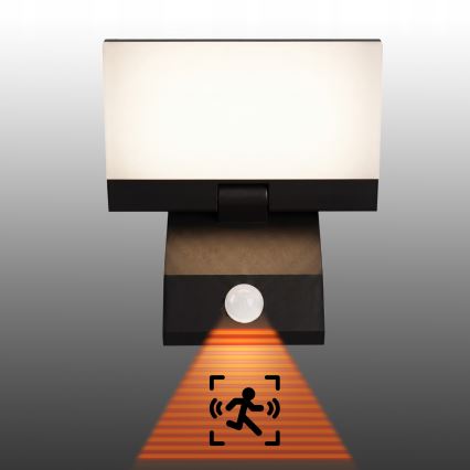 LED vanjsko zidno svjetlo sa senzorom pokreta LED/18W/230V IP44 crno