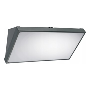 LED vanjsko zidno svjetlo sa senzorom pokreta LED/20W/230V IP65 sivo