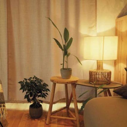 LED žarulja A60 E27/10,5W/230V 2700K s mogućnošću prigušivanja