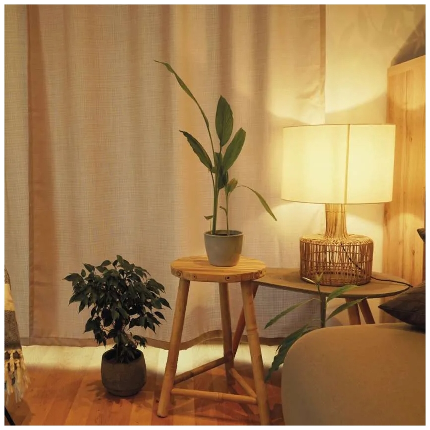 LED žarulja A60 E27/10,5W/230V 2700K s mogućnošću prigušivanja