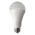 LED Žarulja A65 E27/18W/230V 4200K