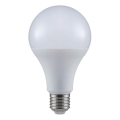 LED Žarulja A80 E27/20W/230V 3000K
