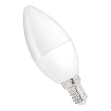 LED žarulja C37 E14/8W/230V 4000K