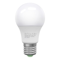 LED Žarulja ECOLINE A60 E27/10W/230V 3000K - Brilagi