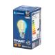 LED Žarulja FILAMENT G45 E27/4,5W/230V 2700-6500K - Aigostar