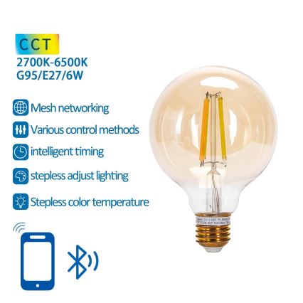 LED Prigušiva žarulja FILAMENT MESH Smart G95 E27/6W/230V 2700-6500K - Aigostar
