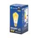LED Žarulja FILAMENT ST64 E27/6W/230V 2700-6500K - Aigostar