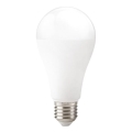LED žarulja GS E27/22W/230V 4000K