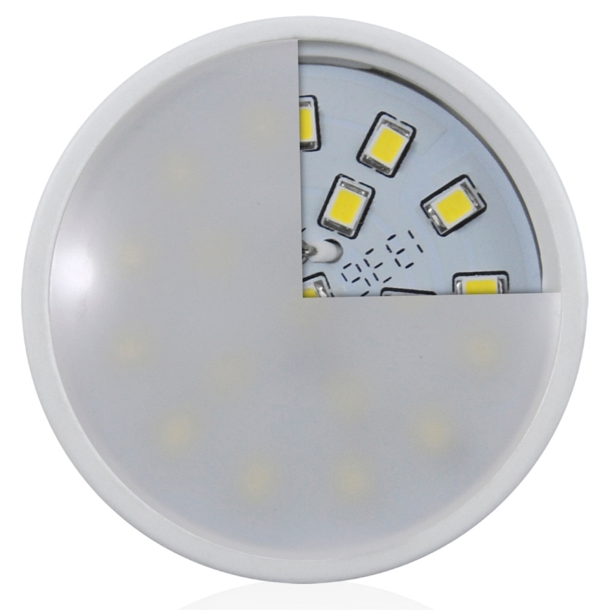 LED Žarulja GU5,3/MR16/2,6W/12V 6400K