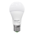 LED Žarulja LEDSTAR ECO A65 E27/18W/230V 4000K