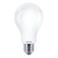 LED Žarulja Philips A67 E27/17,5W/230V 2700K