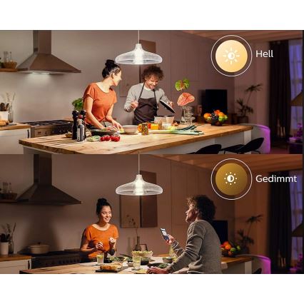 LED Žarulja Philips Hue WHITE E67 E27/15,5W/230V