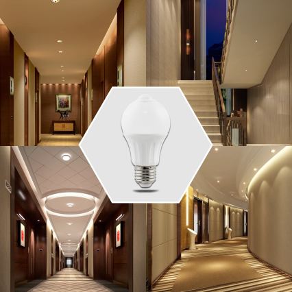 LED žarulja sa senzorom pokreta i sumraka A60 E27/6W/230V 3000K - Aigostar