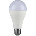 LED Žarulja SAMSUNG CHIP A65 E27/17W/230V 6500K