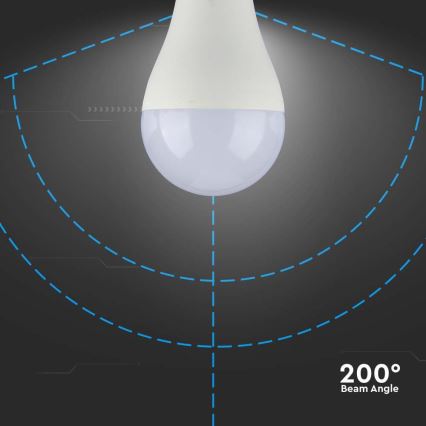 LED Žarulja SAMSUNG CHIP A65 E27/17W/230V 6500K