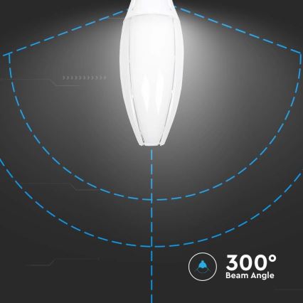 LED Žarulja SAMSUNG CHIP E40/60W/230V 4000K