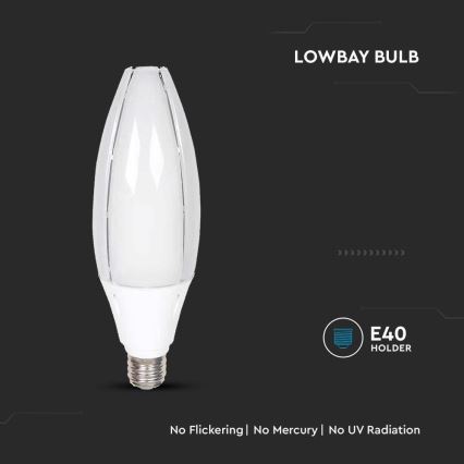LED Žarulja SAMSUNG CHIP E40/60W/230V 6500K