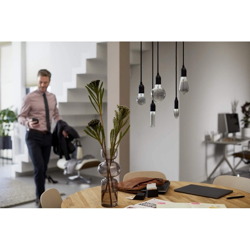 LED Žarulja SMOKY VINTAGE Philips ST64 E27/2,3W/230V 2700K