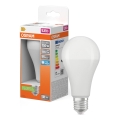 LED Žarulja STAR E27/19W/230V 6500K - Osram