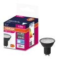 LED Žarulja VALUE PAR16 GU10/6,9W/230V 6500K 36° crna - Osram