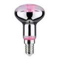 LED žarulja za rast biljaka GROW GREEN R50 E14/4W/230V - Paulmann 28734