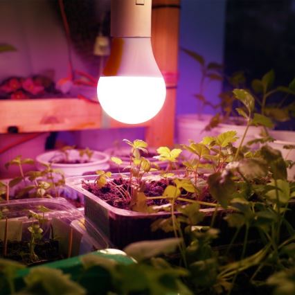 LED Žarulja za rast biljaka PLANTY E27/11W/230V 1200K bijela