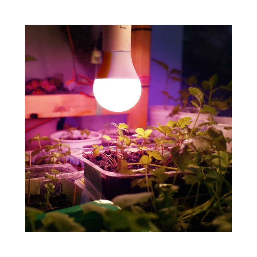 LED Žarulja za rast biljaka PLANTY E27/11W/230V 1200K bijela