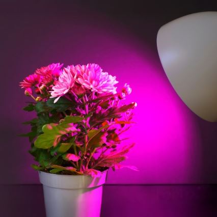 LED Žarulja za rast biljaka PLANTY E27/11W/230V 1200K bijela