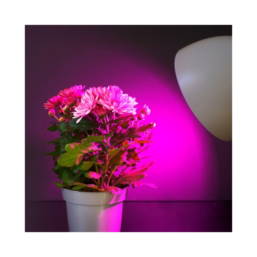 LED Žarulja za rast biljaka PLANTY E27/11W/230V 1200K bijela