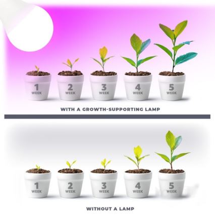 LED Žarulja za rast biljaka PLANTY E27/11W/230V 1200K bijela