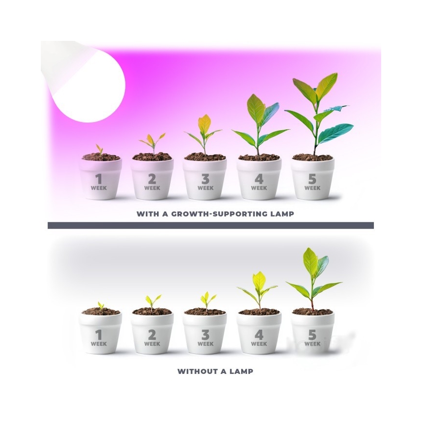 LED Žarulja za rast biljaka PLANTY E27/11W/230V 1200K bijela