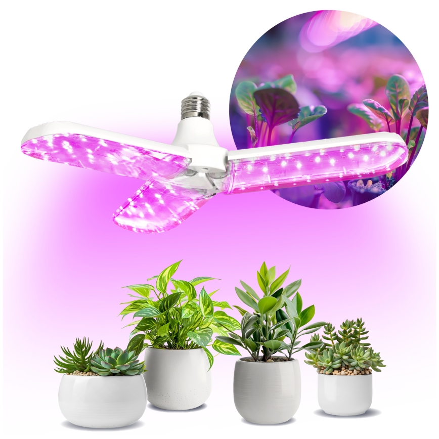 LED Žarulja za rast biljaka PLANTY E27/24W/230V 1200K
