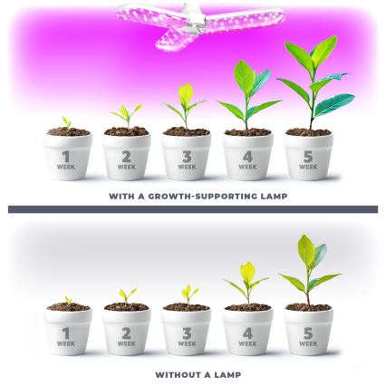 LED Žarulja za rast biljaka PLANTY E27/24W/230V 1200K