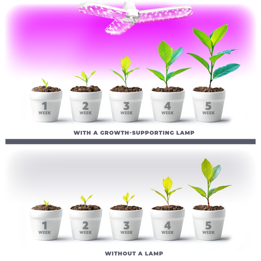 LED Žarulja za rast biljaka PLANTY E27/24W/230V 1200K